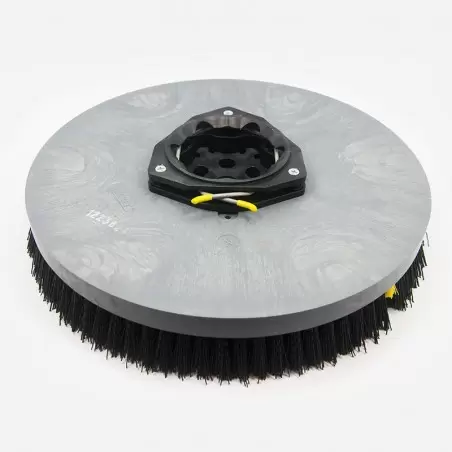 BROSSE, DISQUE, SWP, 24.0D, PYP [TNV] POUR AUTOLAVEUSE TENNANT